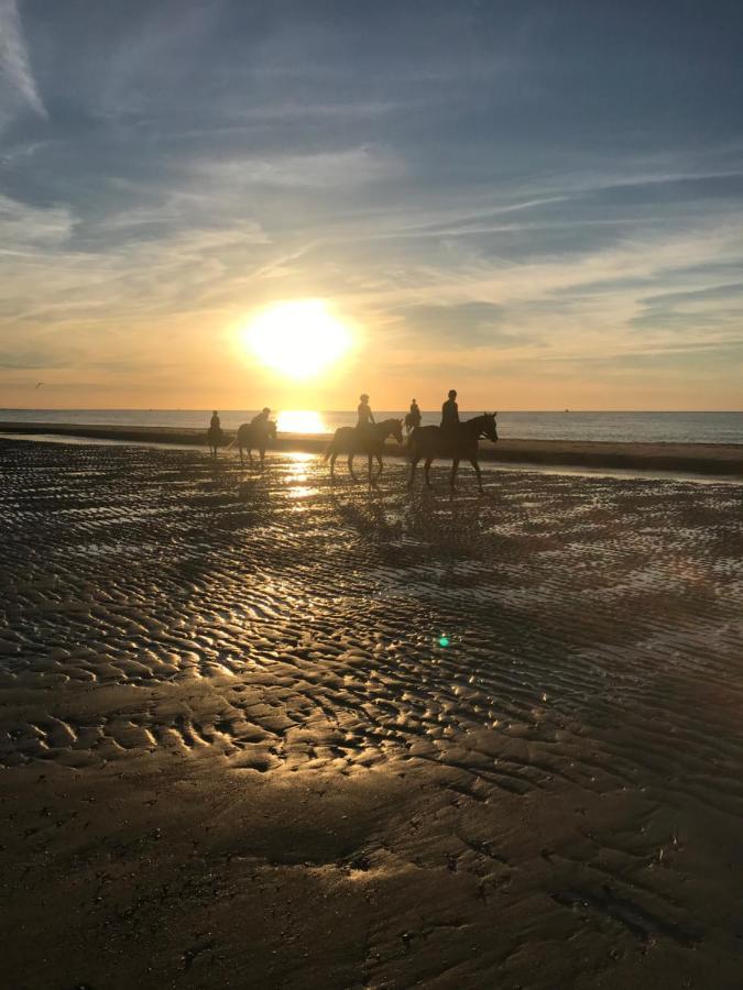 Hotel Etoile Aan Zee Vrouwenpolder Zewnętrze zdjęcie
